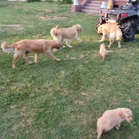 processed/b449f380-f3b3-4333-9387-e95f46a51196/facility/552e9782-3f30-49d0-98e3-faf68508ca02