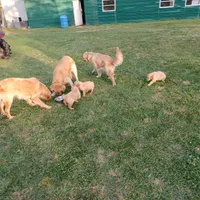 processed/b449f380-f3b3-4333-9387-e95f46a51196/facility/99c241dd-0448-4c02-98b8-8acaf25dc973