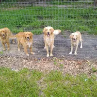 processed/b449f380-f3b3-4333-9387-e95f46a51196/facility/b9f819f7-7002-46e7-baba-92f3d4f0336b