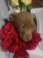 processed/b449f380-f3b3-4333-9387-e95f46a51196/listing/17308675-deff-402a-999f-3f5088202282/8aa5ba57-01c6-4249-82a4-9957ed7d189d