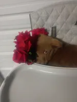 processed/b449f380-f3b3-4333-9387-e95f46a51196/listing/17308675-deff-402a-999f-3f5088202282/b2337151-4d74-4378-8131-9fb3c992dc21