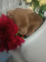 processed/b449f380-f3b3-4333-9387-e95f46a51196/listing/17308675-deff-402a-999f-3f5088202282/c3f378d8-ec55-43c5-87ae-1b3fbf7c9268