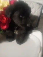 processed/b449f380-f3b3-4333-9387-e95f46a51196/listing/1bb8679e-721b-4823-b7f6-5a17d3534d07/1fbd6bd1-1c42-4d99-9743-8f2a652380da