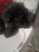 processed/b449f380-f3b3-4333-9387-e95f46a51196/listing/1bb8679e-721b-4823-b7f6-5a17d3534d07/df9438d5-a519-4bbb-bb46-cd379388d4b9