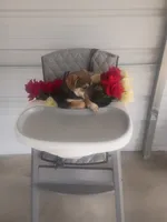 Joe, a male German Shepherd Dog and Labrador Retriever for sale in Whiteville, NC – Photo 2 of 3