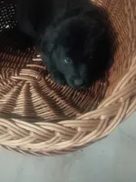 processed/b449f380-f3b3-4333-9387-e95f46a51196/listing/44617265-a0b9-4a3a-ada6-a12151d084db/6aeb4e06-2f7a-4936-8894-085388fb5b6a