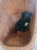 processed/b449f380-f3b3-4333-9387-e95f46a51196/listing/44617265-a0b9-4a3a-ada6-a12151d084db/9078b869-ba1f-45da-8fc7-847b7b2f65f7