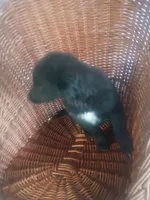 processed/b449f380-f3b3-4333-9387-e95f46a51196/listing/44617265-a0b9-4a3a-ada6-a12151d084db/bb382e9e-2719-4c7b-84ef-67598352e853