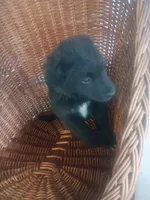 processed/b449f380-f3b3-4333-9387-e95f46a51196/listing/44617265-a0b9-4a3a-ada6-a12151d084db/cf863ac9-2b05-42e9-a828-4dc028f9b48a