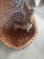 processed/b449f380-f3b3-4333-9387-e95f46a51196/listing/48041176-db10-417e-acf4-132ff6e3704c/af9004f6-3513-484b-9cfe-9b554397dddf