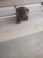 processed/b449f380-f3b3-4333-9387-e95f46a51196/listing/48041176-db10-417e-acf4-132ff6e3704c/fd2f7bd8-623f-4b2d-95ea-0242aa9a1fb5