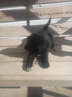 processed/b449f380-f3b3-4333-9387-e95f46a51196/listing/5a71370e-df09-47ca-a453-3c38b241575f/2fd68433-dd70-48f1-a1f0-802faa751d1c