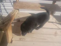 processed/b449f380-f3b3-4333-9387-e95f46a51196/listing/5a71370e-df09-47ca-a453-3c38b241575f/34457f17-2dcc-4915-89bd-5ac6a3be9094