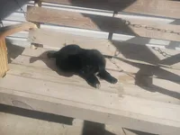 processed/b449f380-f3b3-4333-9387-e95f46a51196/listing/5a71370e-df09-47ca-a453-3c38b241575f/d5b3b486-f1dc-4007-8aa9-0694f4323ac2