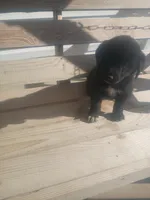 processed/b449f380-f3b3-4333-9387-e95f46a51196/listing/5a71370e-df09-47ca-a453-3c38b241575f/e1bd0014-c357-4a13-80cc-e4840be059ee