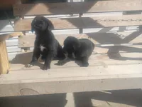 processed/b449f380-f3b3-4333-9387-e95f46a51196/listing/5a71370e-df09-47ca-a453-3c38b241575f/f98a9c1f-87e8-43d5-b9b8-8e5871e5ea7b