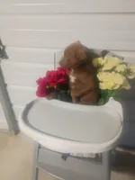 processed/b449f380-f3b3-4333-9387-e95f46a51196/listing/637cda81-97ec-4edb-8310-d08d9f3de771/3d865cc1-b339-4e2a-b30e-f29060bb45e2