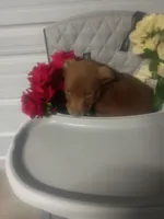 processed/b449f380-f3b3-4333-9387-e95f46a51196/listing/637cda81-97ec-4edb-8310-d08d9f3de771/78263487-17fa-4526-8790-bf30823559a4