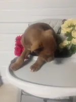 processed/b449f380-f3b3-4333-9387-e95f46a51196/listing/637cda81-97ec-4edb-8310-d08d9f3de771/c0659f5c-0771-4d6c-b0d8-dca78e5da3c3