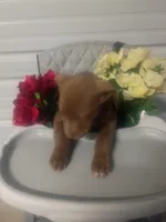 processed/b449f380-f3b3-4333-9387-e95f46a51196/listing/637cda81-97ec-4edb-8310-d08d9f3de771/f1473ca3-e46f-435a-9b3a-1cee8319627a