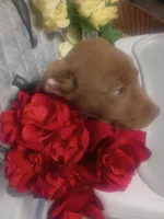 processed/b449f380-f3b3-4333-9387-e95f46a51196/listing/637cda81-97ec-4edb-8310-d08d9f3de771/f86cb9d9-f471-40c3-b211-6edf005c07a3