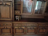 Milo, a male German Shepherd Dog and Labrador Retriever for sale in Whiteville, NC – Photo 2 of 4