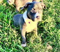 processed/b469a7c2-697d-4fbe-9f51-f745fd58a70f/listing/1baf87a5-6421-453a-b54d-5e5e3b34d286/1c30616c-2ed8-4853-b93e-48f7894036a5