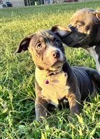 processed/b469a7c2-697d-4fbe-9f51-f745fd58a70f/listing/1baf87a5-6421-453a-b54d-5e5e3b34d286/c3610048-d968-4c87-a440-7ba6be43cb4c