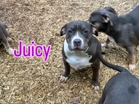 processed/b469a7c2-697d-4fbe-9f51-f745fd58a70f/listing/1baf87a5-6421-453a-b54d-5e5e3b34d286/f82b4584-6f0d-4716-8e09-58949872dd8d