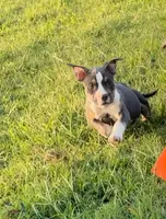 processed/b469a7c2-697d-4fbe-9f51-f745fd58a70f/listing/375cbae1-cb02-4daf-b629-154748c7ef02/6acf93ec-65aa-4fd5-879f-01fd94bf25c1