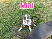 processed/b469a7c2-697d-4fbe-9f51-f745fd58a70f/listing/375cbae1-cb02-4daf-b629-154748c7ef02/788edfc4-15e1-431a-8b25-6ed9f5973f08