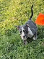 processed/b469a7c2-697d-4fbe-9f51-f745fd58a70f/listing/375cbae1-cb02-4daf-b629-154748c7ef02/b892ad2e-5054-48d9-9189-829a7a30f920