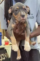 processed/b469a7c2-697d-4fbe-9f51-f745fd58a70f/listing/84dc1ede-7d8b-4088-aba7-3e25e2098d09/6391166b-1957-4017-825b-b94206919ee5