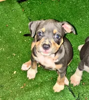 processed/b469a7c2-697d-4fbe-9f51-f745fd58a70f/listing/84dc1ede-7d8b-4088-aba7-3e25e2098d09/884926b5-ec16-4fca-b6b8-cf34e3cc3cb2