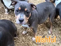 processed/b469a7c2-697d-4fbe-9f51-f745fd58a70f/listing/84dc1ede-7d8b-4088-aba7-3e25e2098d09/a792b42e-ce79-4a9d-89fc-ef5ef6c1657b