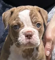 processed/b46ad231-2ead-44d2-b271-977f4ef3a462/facility/171f92ca-efed-428a-b7c3-1c1c401e895c