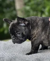 processed/b46ad231-2ead-44d2-b271-977f4ef3a462/facility/34dddbee-0c0c-4abb-9560-883e734a457b