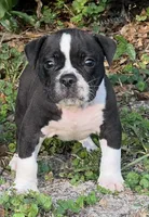 processed/b46ad231-2ead-44d2-b271-977f4ef3a462/facility/4edc42d1-3094-4802-b7aa-497d1f472474