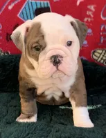 processed/b46ad231-2ead-44d2-b271-977f4ef3a462/facility/51614dbb-6576-4539-996f-181ea41bc541