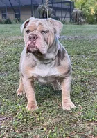 processed/b46ad231-2ead-44d2-b271-977f4ef3a462/facility/e019f71a-d0b8-4c09-9698-829ec9f05dd2