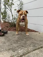 processed/b46ad231-2ead-44d2-b271-977f4ef3a462/listing/00ac2c28-6d1a-4737-9fa8-09c6a528381b/0cb27e77-4344-4560-8fd9-382ea78ebead