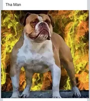 processed/b46ad231-2ead-44d2-b271-977f4ef3a462/listing/00ac2c28-6d1a-4737-9fa8-09c6a528381b/988d0183-3dd7-402e-a911-8635ba7105bc