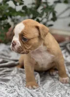 processed/b46ad231-2ead-44d2-b271-977f4ef3a462/listing/00ac2c28-6d1a-4737-9fa8-09c6a528381b/c157894d-7931-48fe-afcb-6e0e5e617f53