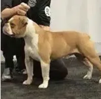 processed/b46ad231-2ead-44d2-b271-977f4ef3a462/listing/00ac2c28-6d1a-4737-9fa8-09c6a528381b/eb4c67df-c1c0-4cce-8f4e-97c5327dad6b