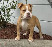 processed/b46ad231-2ead-44d2-b271-977f4ef3a462/listing/1c97ad77-2784-4b87-9b51-9de226265d9c/1caf6cca-7660-4da4-92d9-5e0af9f8c0fc