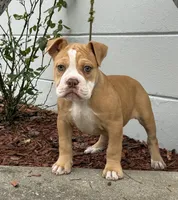 processed/b46ad231-2ead-44d2-b271-977f4ef3a462/listing/1c97ad77-2784-4b87-9b51-9de226265d9c/752d88f4-0605-472c-8a61-3e9dcf7c072c