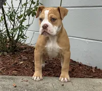 processed/b46ad231-2ead-44d2-b271-977f4ef3a462/listing/1c97ad77-2784-4b87-9b51-9de226265d9c/ecb3ff3f-13c5-4005-802c-6c2ecdf1f353