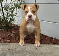 processed/b46ad231-2ead-44d2-b271-977f4ef3a462/listing/1c97ad77-2784-4b87-9b51-9de226265d9c/f77faac0-78d0-4577-a9c1-2ed8c94ff2e5