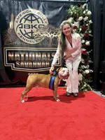 processed/b46ad231-2ead-44d2-b271-977f4ef3a462/listing/1f6dae3f-0d8f-4c8a-95f8-6e08d7db9099/5ef14028-4a5f-4ea2-8fe1-cabb71afa61a