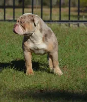 processed/b46ad231-2ead-44d2-b271-977f4ef3a462/listing/1f6dae3f-0d8f-4c8a-95f8-6e08d7db9099/a728aa81-7723-4b47-9a6d-8978c4d24d76